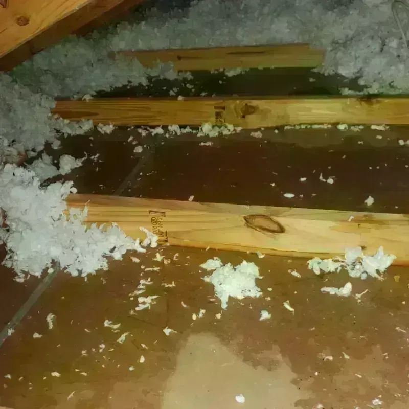 Attic Water Damage in Carroll County, OH