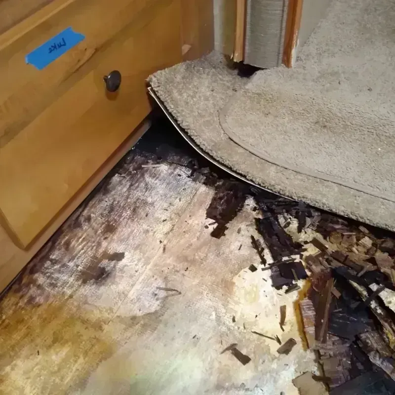 Wood Floor Water Damage in Carroll County, OH